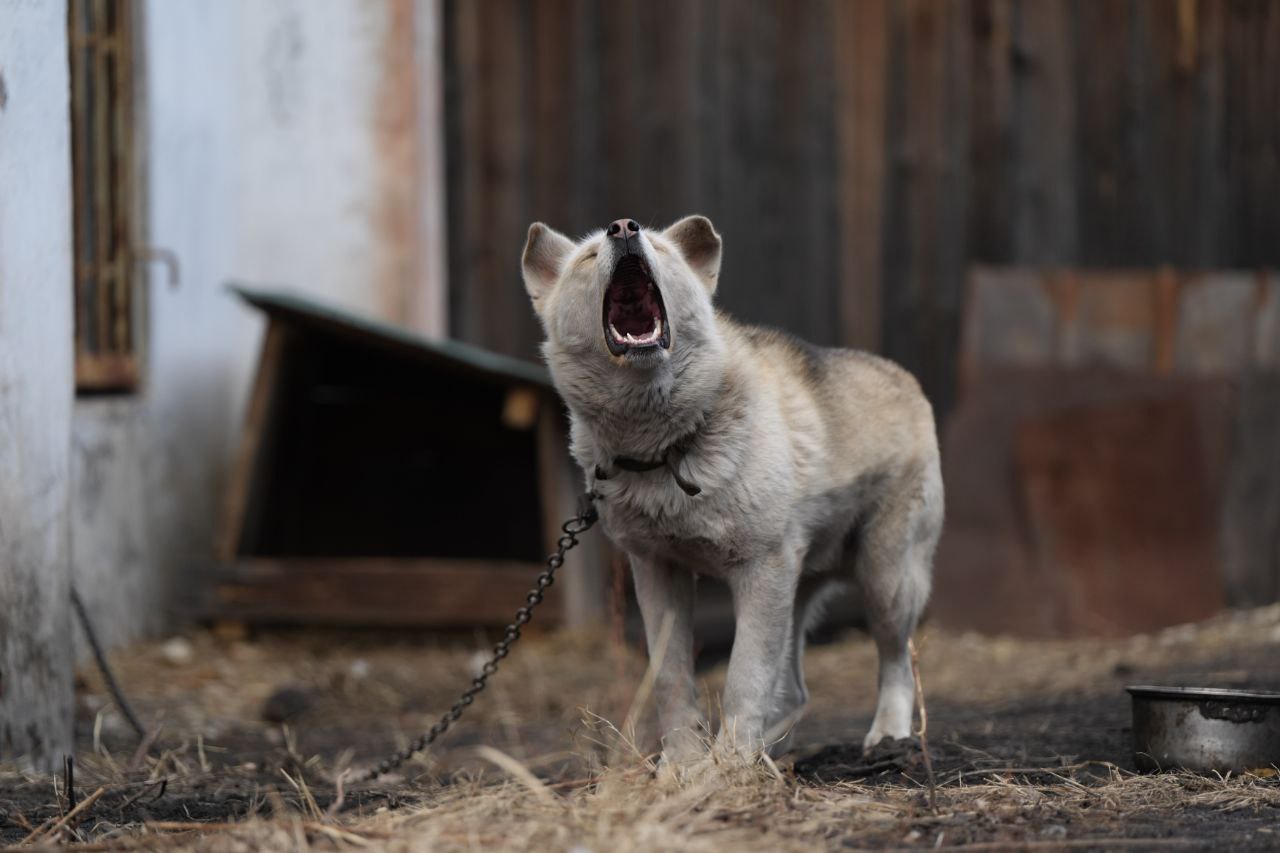 Иркутские работодатели предложили более 80 вакансий для инвалидов на ярмарке вакансий Иркутские работодатели предложили более 80 вакансий для инвалидов на ярмарке вакансий