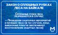 Госдума приняла закон о сплошных рубках леса на Байкале