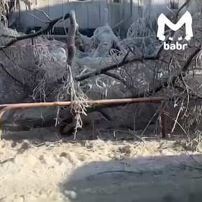 "Я просто там стояла и смотрела, как горит дело моей жизни"