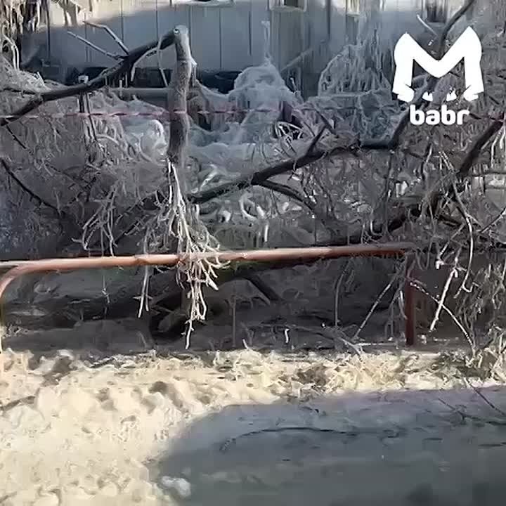 "Я просто там стояла и смотрела, как горит дело моей жизни"