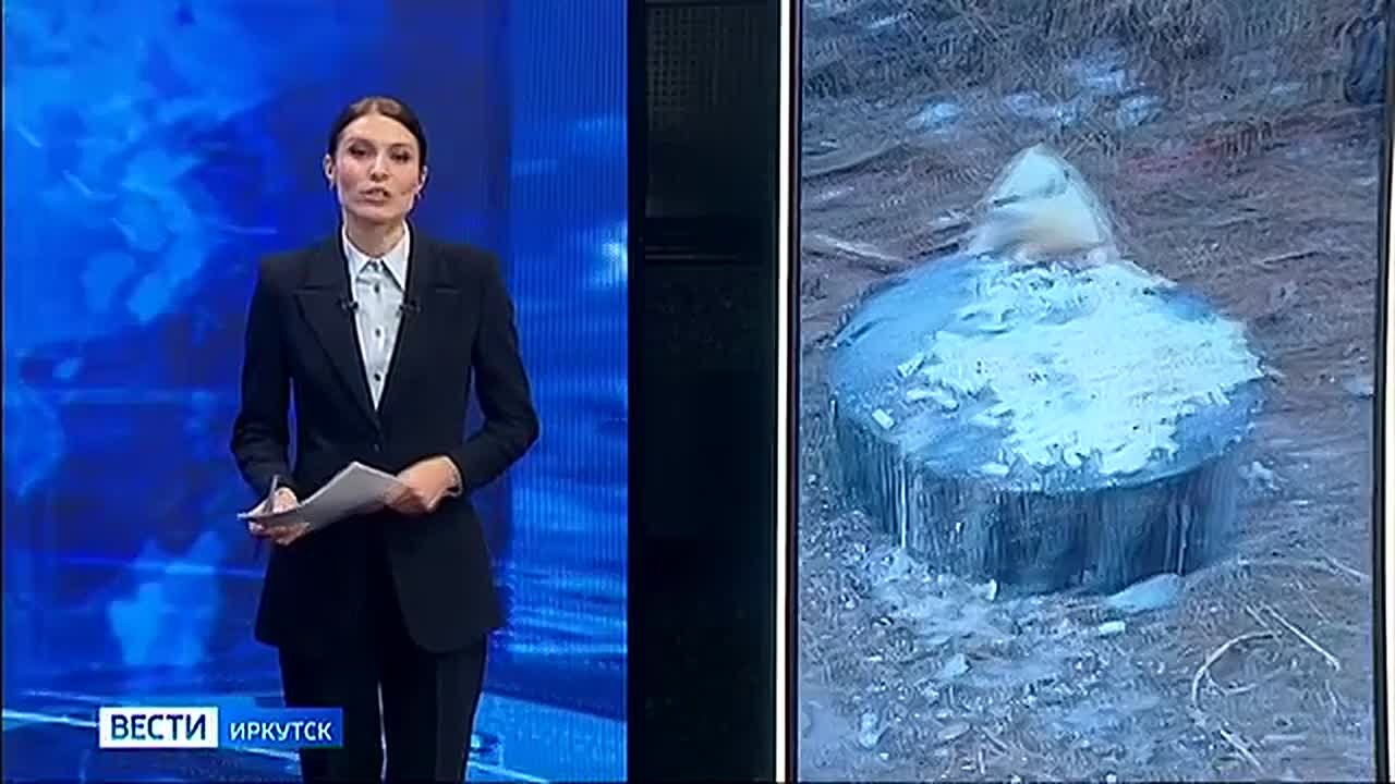 Необычного таежного обитателя удалось заснять в горах Восточного Саяна