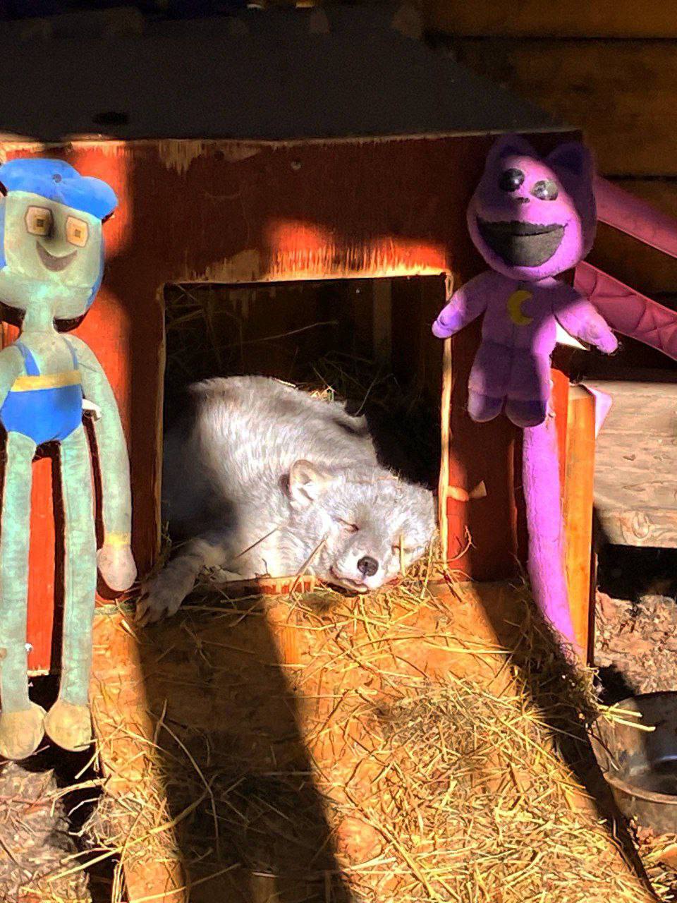 Доброй ночи, Иркутская область!