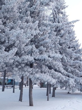 А мы не перестаём любоваться зимним Иркутском в фотографиях Андрея Фёдорова