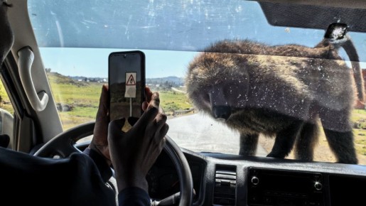 Африка глазами иркутянки: отвлечемся от сибирских зимних пейзажей и посмотрим на самый жаркий континент через объектив руководителя Иркутской зоогалереи Людмилы Ивушкиной