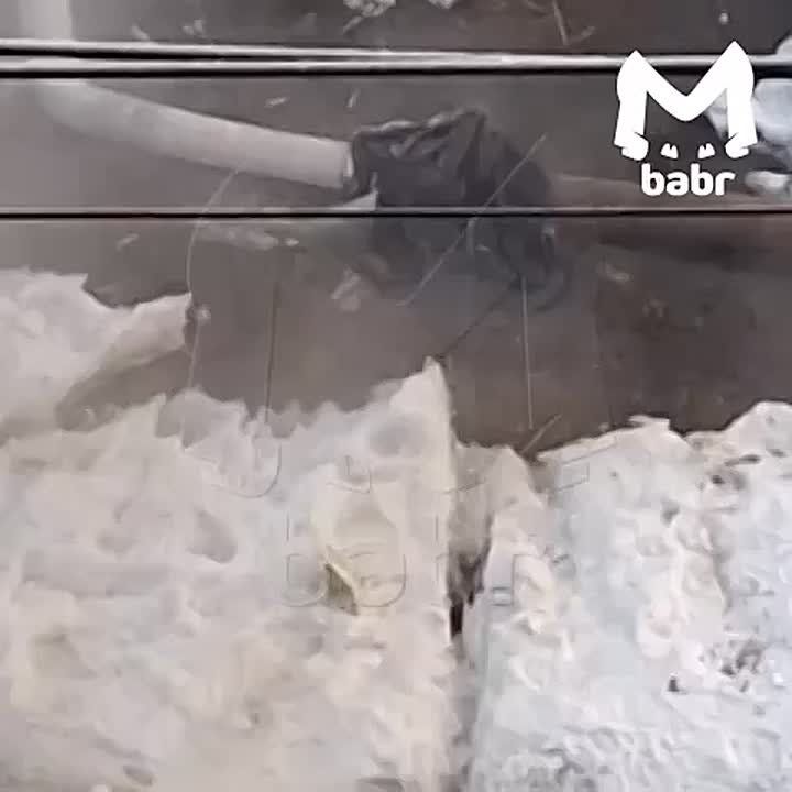 ��������� ������ �� ����� ��������� �� ��� ��� �� ���������