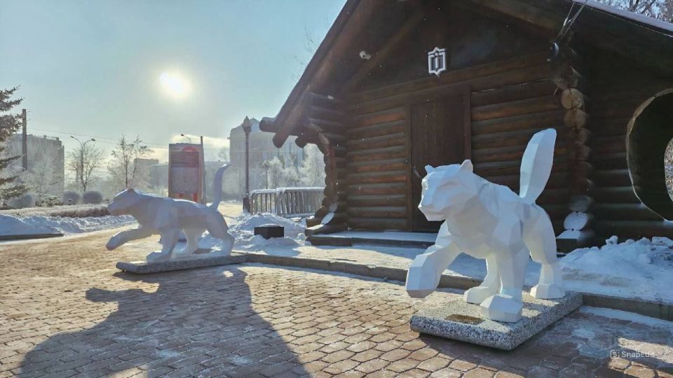 � ������ �������� ���������� ����� �����