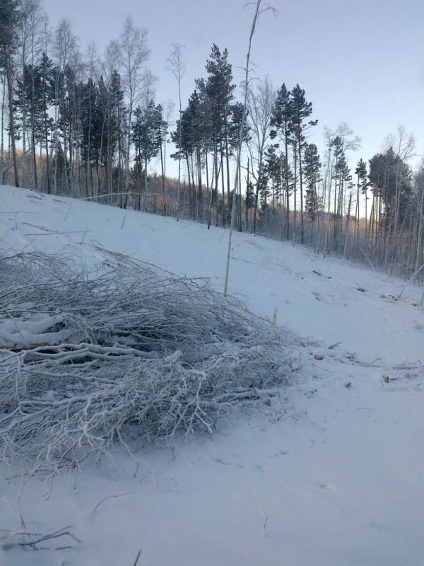 �� ���� ����������� ��������� ������ ������������ ����������� ������� ����� ���������� ����� �� ���������� �������� �� ������� 0,6 ��