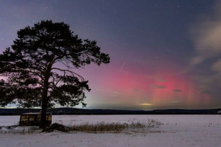 Вот так подарок от природы в середине декабря! Прошлой ночью, 13 декабря, жители Иркутской области стали свидетелями редкого и захватывающего зрелища - над регионом вспыхнуло полярное сияние