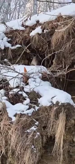 #нампишут. Утренняя пробежка на Якоби