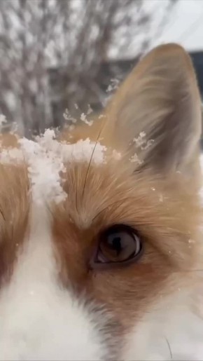 Доброе утро, Иркутская область!