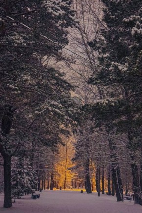 Доброй ночи, Иркутская область!