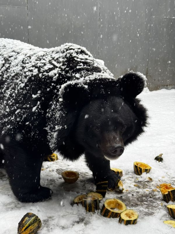 13 ������� ���������� ���� �������!