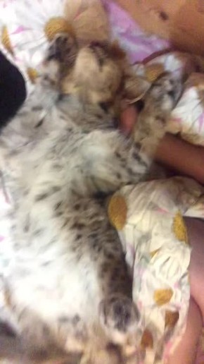 Доброе утро, Иркутская область!