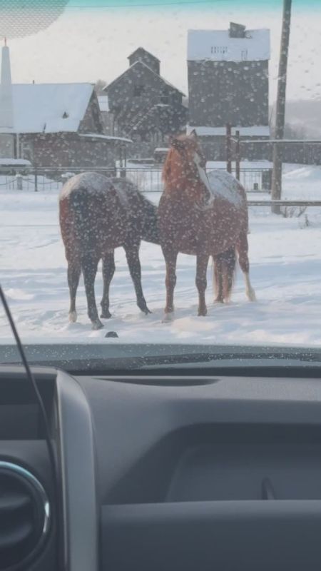 � �������� ��� ������ ��������, ������ � �������