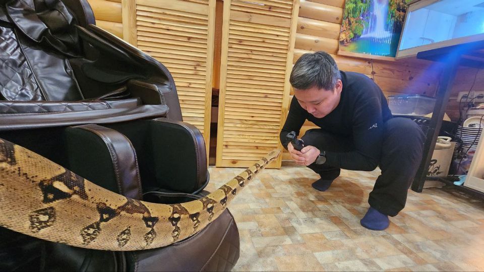 ���� ������� � ��� �������� ������ �������� ������� ���� �����