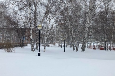 Жители Иркутской области через обращения на Платформу обратной связи решают вопросы благоустройства