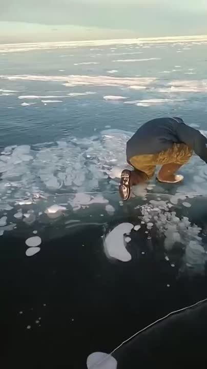 #* �������� ���������� �������� �� �������� � ����� ����