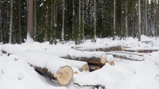 ��������� ������ �������� ����� �������� �����, ����������� ������ ���������� ����� ���� ������������ ������������� ���� ����������� ��������� ����������