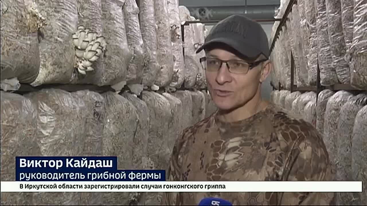 Мировые рекордсмены по скорости роста