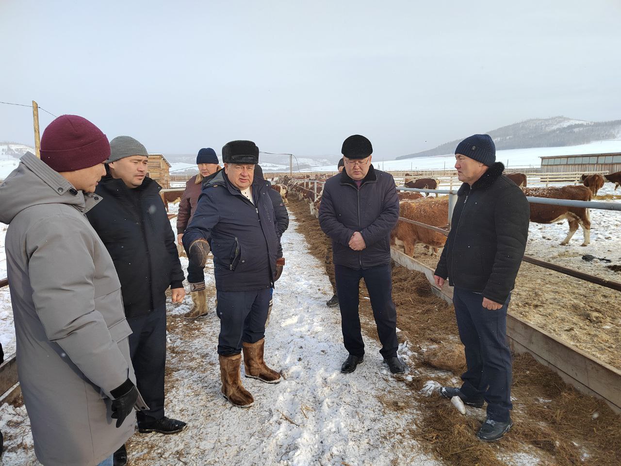 В Осинском районе открылся автоматизированный цех по первичной переработке мяса В Осинском районе открылся автоматизированный цех по первичной переработке мяса