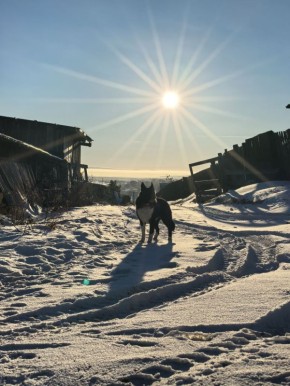 Доброе утро, Иркутская область!