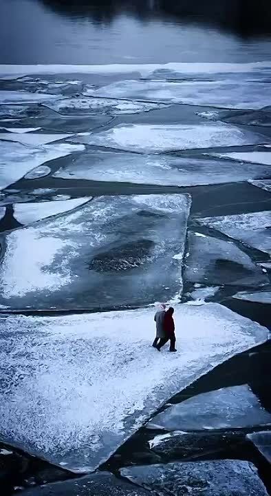 ����������� �� ������� �������