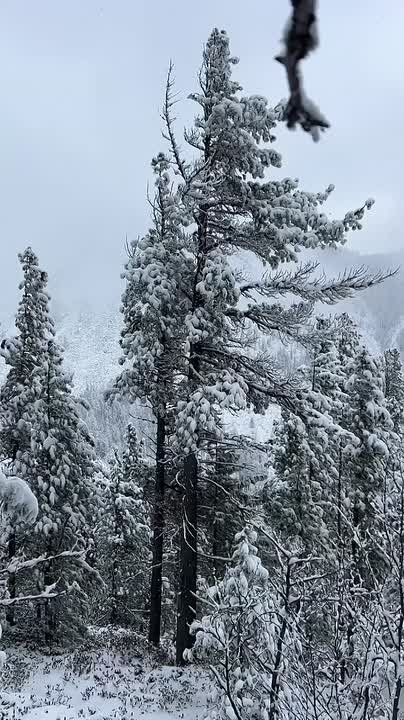 ������ ����, ��������� �������!