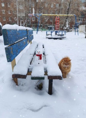 Синоптики предупреждают: ожидается ухудшение погоды