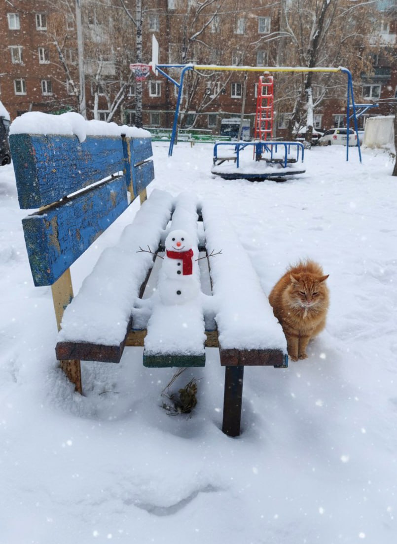 Синоптики предупреждают: ожидается ухудшение погоды