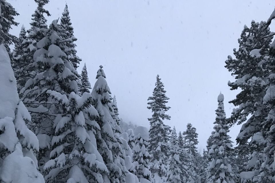 � ������� ��������� ������� ���������, ��� ��������� ���� � ������� ������� ���������