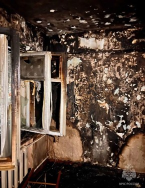 � ������-��������� ���������� �������� �� ������� ����� �����������