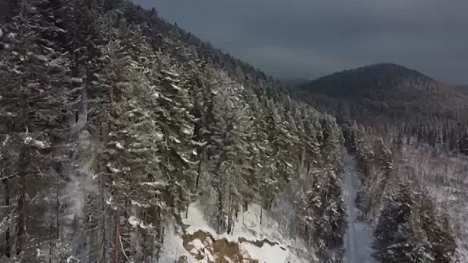 ���������� ���������� ��������� ������� ����������� ���������� ��� ������ ������� �������� �� ���������� �����