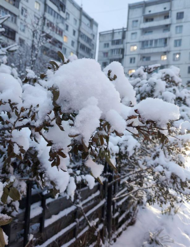 �������, 17 ������, � �������� ��������� ����, ����� ������-�������� ���������� �����-��������� 510 �/�, ����������� ���� -5�