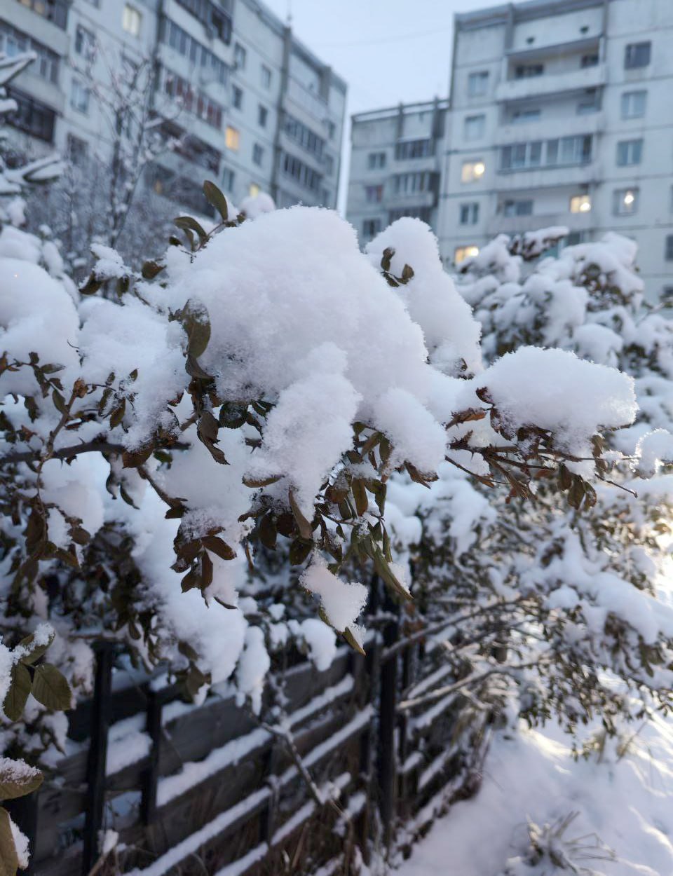 Сегодня, 17 ноября, в Иркутске небольшой снег, ветер северо-западный с переходом на юго-восточный 510 м/с, температура днем -5°