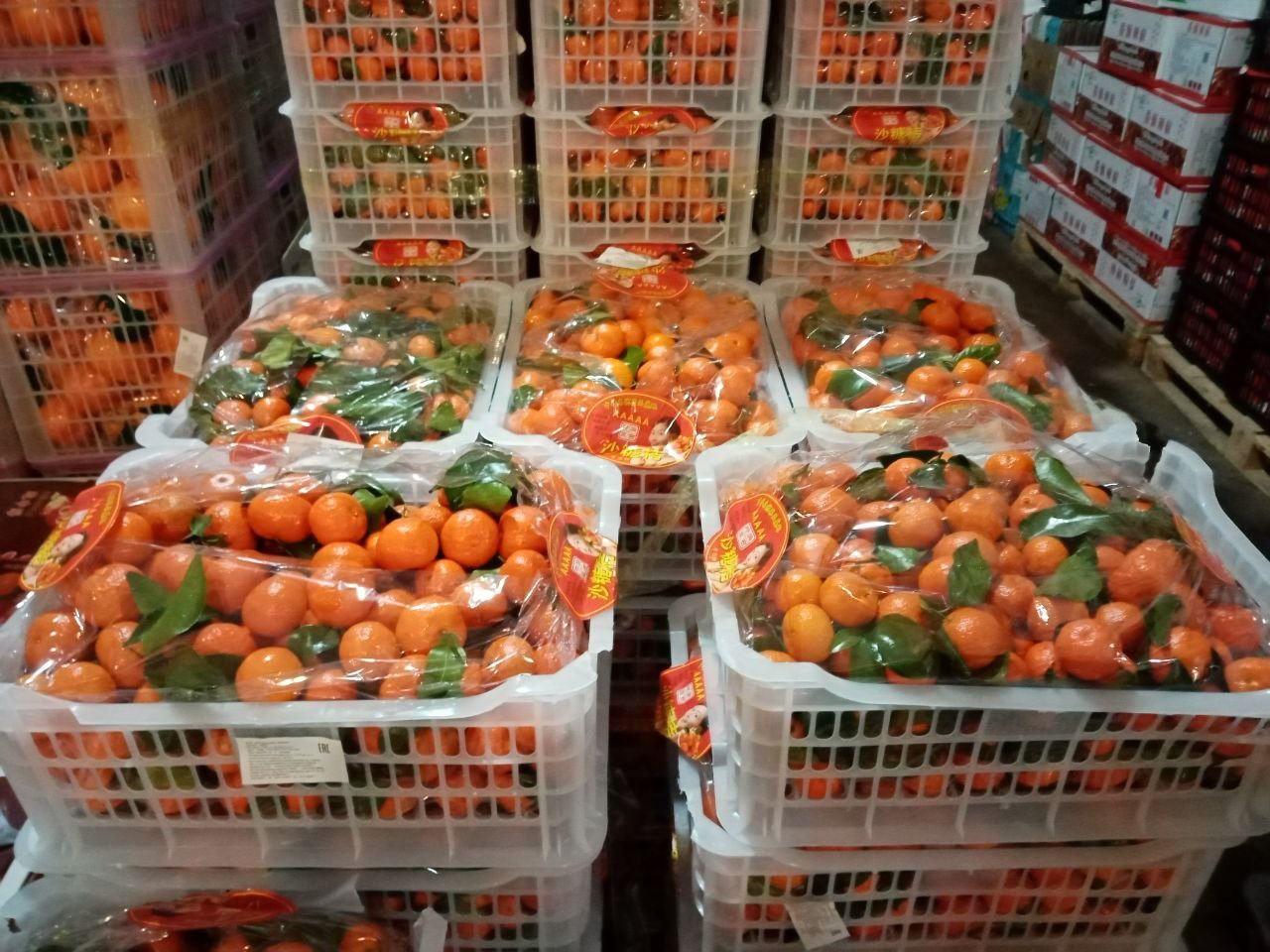 На всех хватит: в Приангарье ввезли 250 тонн мандаринов перед новогодними праздниками