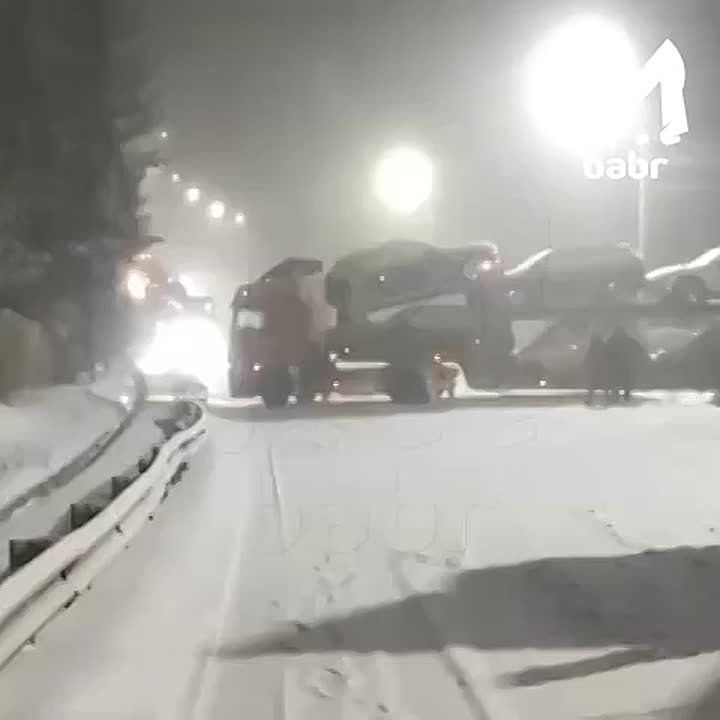 ������ ������������ ���������� �����