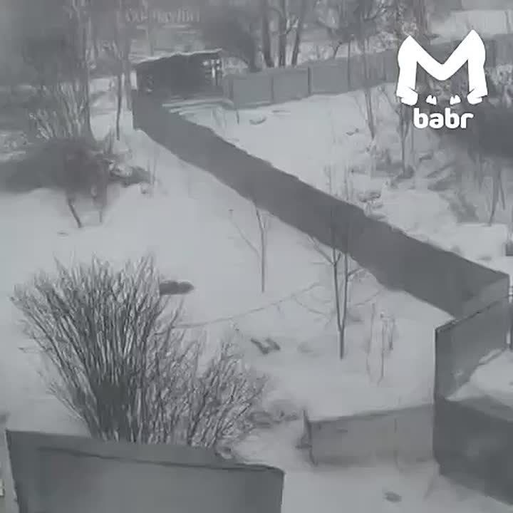 ������ ������ � ��������.. ����� ������ � ��������, �� ������� 8-�������� ������. �� ������ ���� ����� 68 ������ ������� � 180 ����������