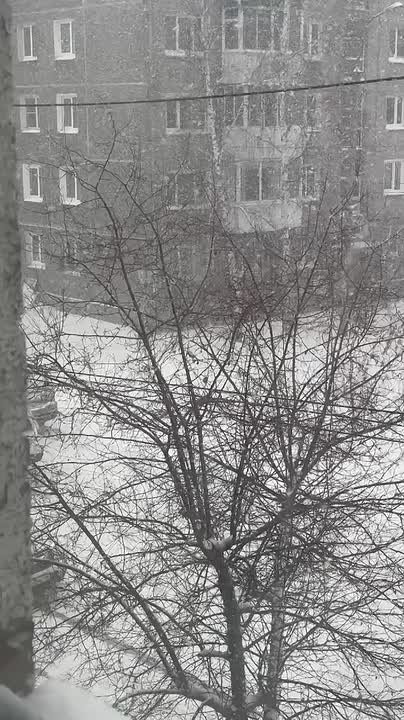 Главный вопрос дня: стоит ли вообще сегодня выходить на улицу?