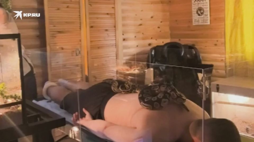 �������� �������� �� ���� �������, ��� � ����������� ������, ����� ������ � ������� �������� ��������, ��� ����� � ������, �� ��� ���