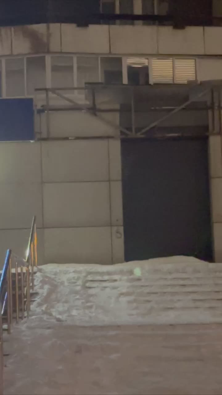 Окно в природу: козырек пытается улететь на юг, но у него не получается