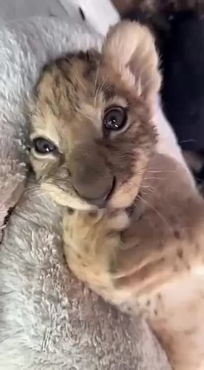 Доброе утро, Иркутская область!