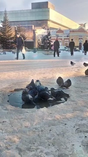 ������, ������� � ������. �����: ������� ��������� ������ �����������