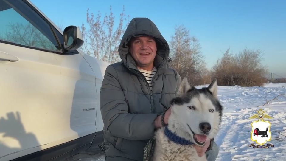 «Во время метели оказались в ловушке»: несколько часов водитель и его хаски не могли выбраться из сугробов