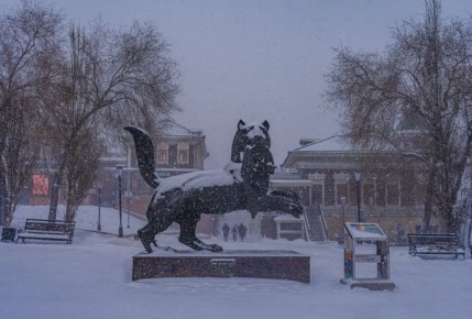 ������ ����, ��������� �������!