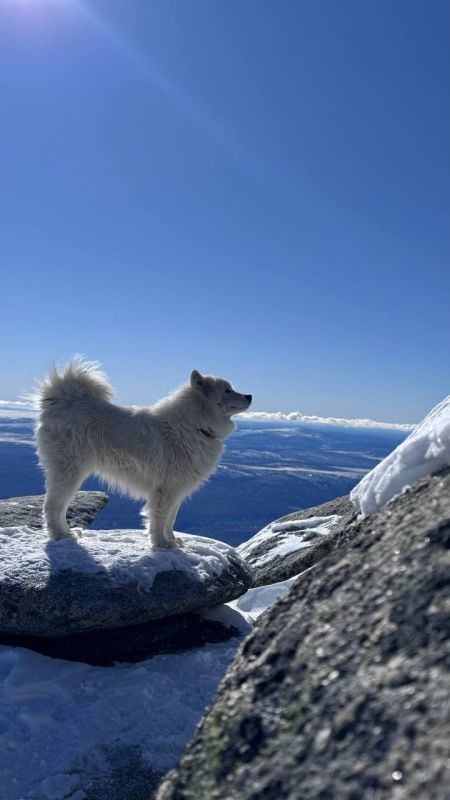 ������ ����, ��������� �������!