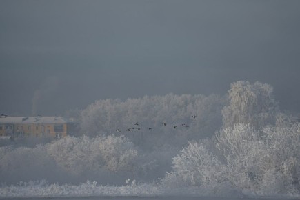 ����� ��������� ���� �������� �� ������� ��������� �������� � ���, ��� ������� �������� ������ � ����