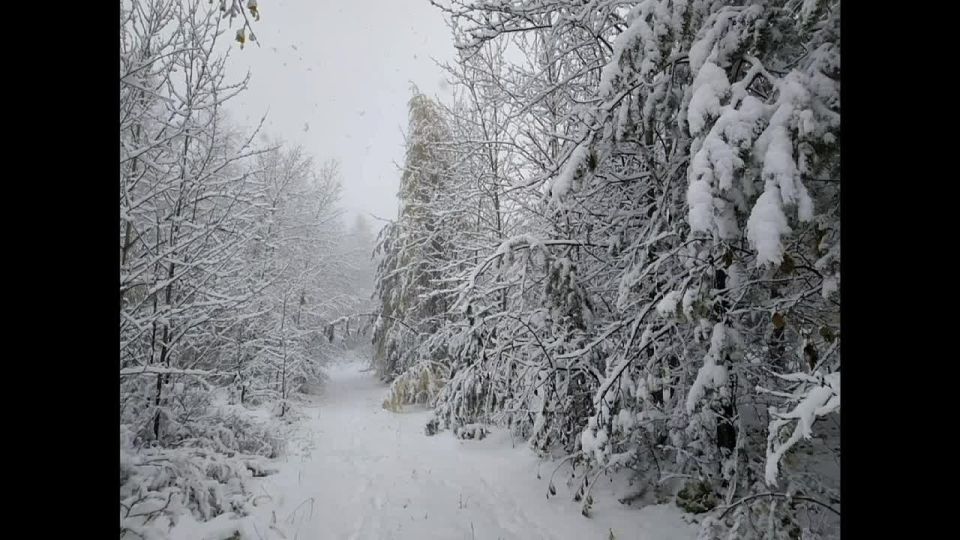 ������ �������������: � ���������� ��������� �������� ������ ��� ������ �� ��������� ������� � ������ ������� ����� �������� �����