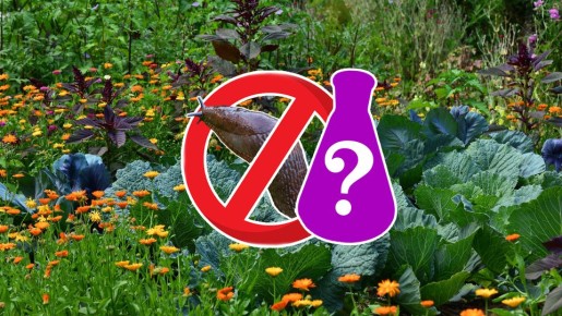 ����������� ��� ������ �� �������: ������ ����� ��������, � ������ ��������