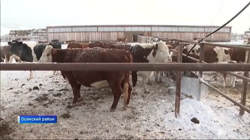 ������������������ ��� �� ��������� ����������� ���� ������� � ������� ������� ��������� ������