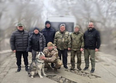 ����������� ������� �� �����: ��� �������� ������ ������� ���������� � ��������������� ���������� ����� ������